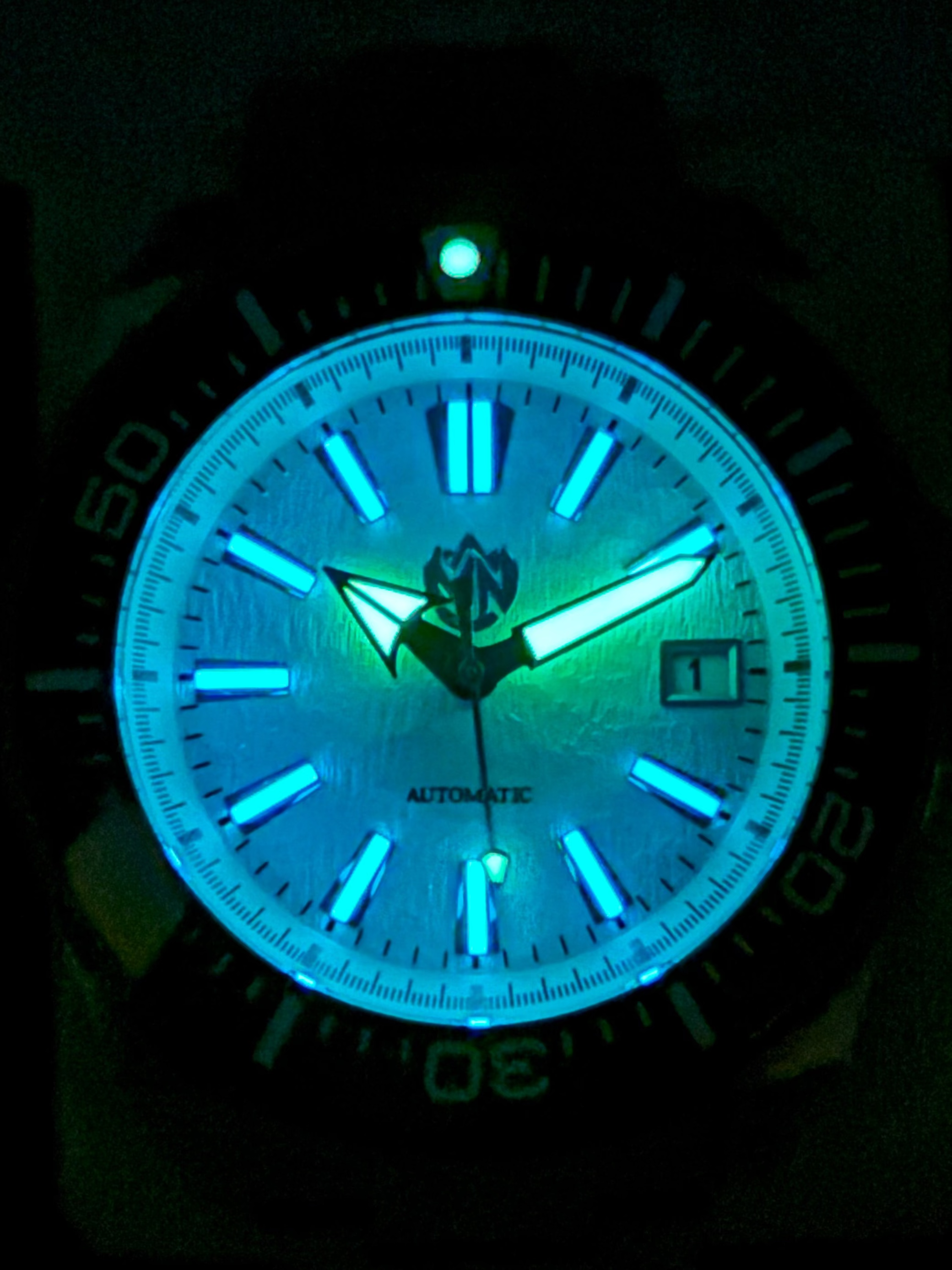 White Birch Samurai (Diver)