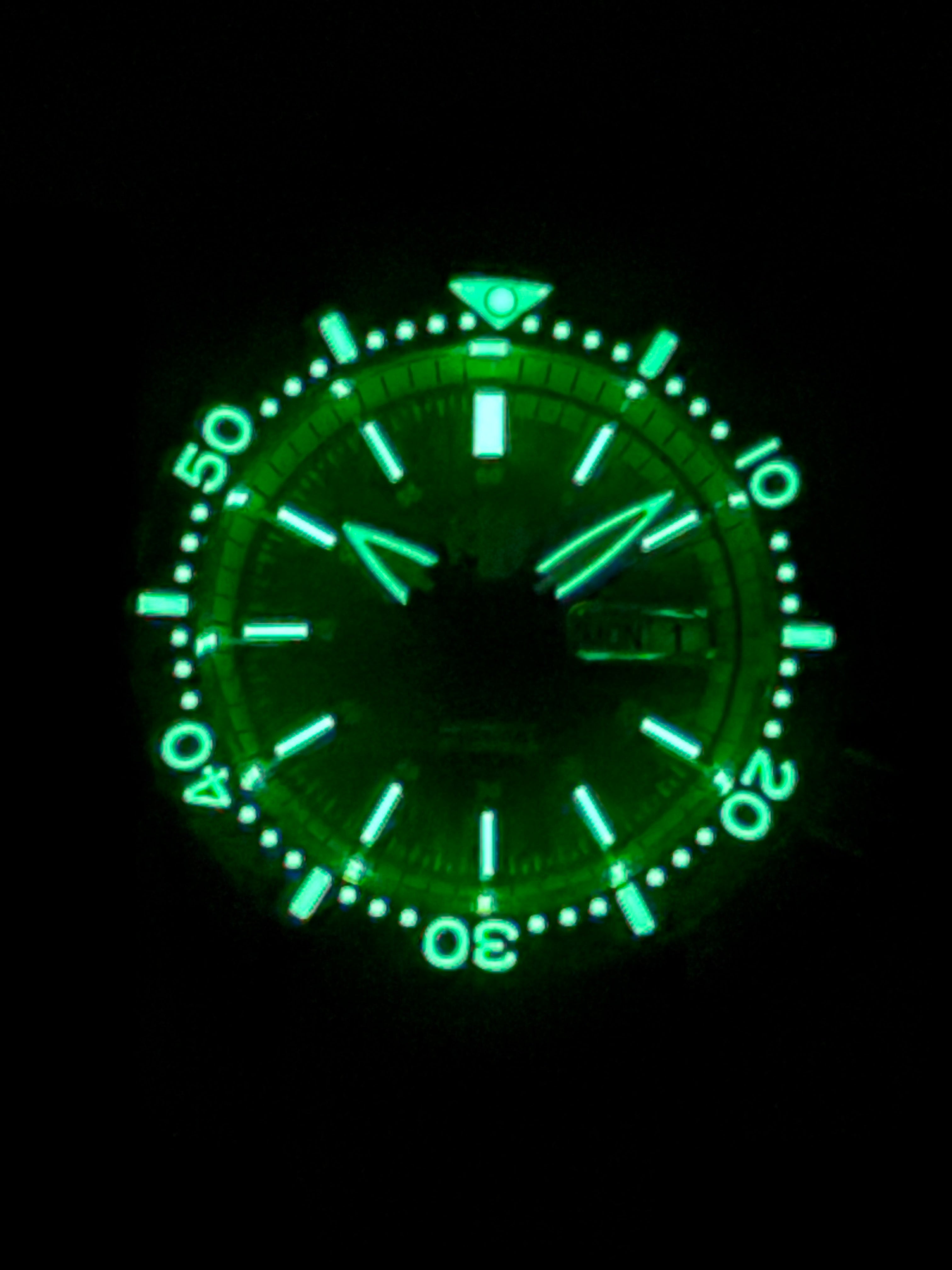 Blue & Grey Day Date (Diver)